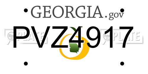 PVZ4917 Georgia License Plate