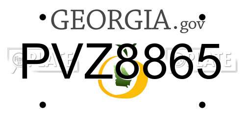 PVZ8865 Georgia License Plate