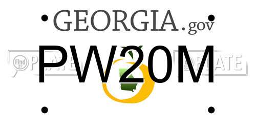 PW20M Georgia License Plate