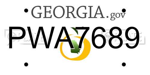 PWA7689 Georgia License Plate