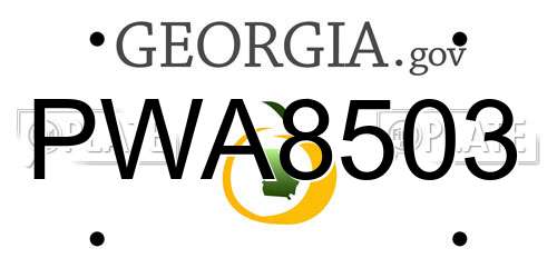 PWA8503 Georgia License Plate