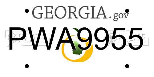 PWA9955 Georgia License Plate