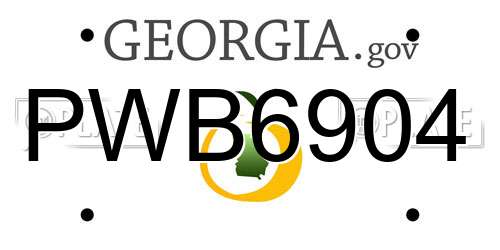PWB6904 Georgia License Plate