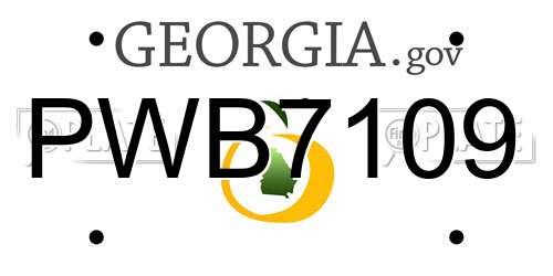 PWB7109 Georgia License Plate