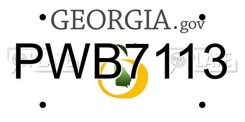 PWB7113 Georgia License Plate