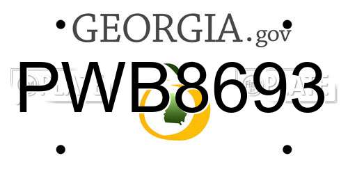 PWB8693 Georgia License Plate