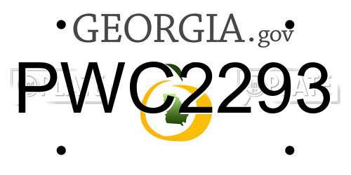 PWC2293 Georgia License Plate