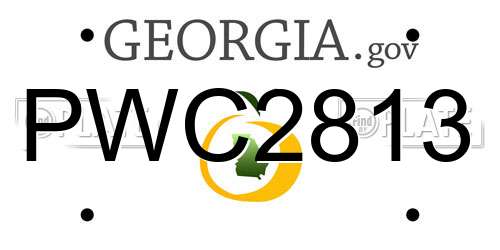 PWC2813 Georgia License Plate