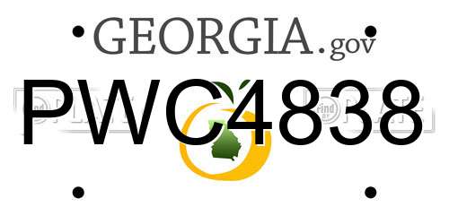 PWC4838 Georgia License Plate