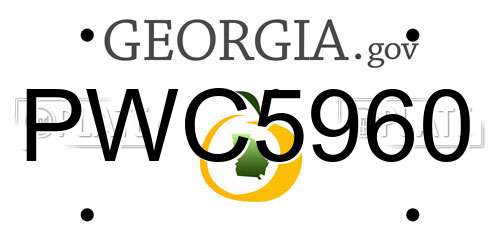 PWC5960 Georgia License Plate
