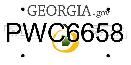 PWC6658 Georgia License Plate