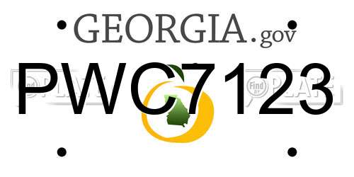 PWC7123 Georgia License Plate