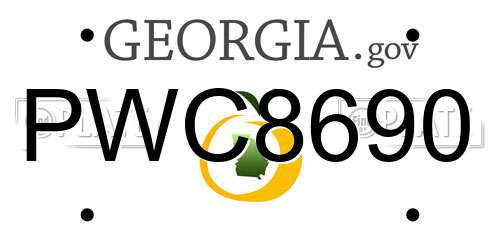 PWC8690 Georgia License Plate
