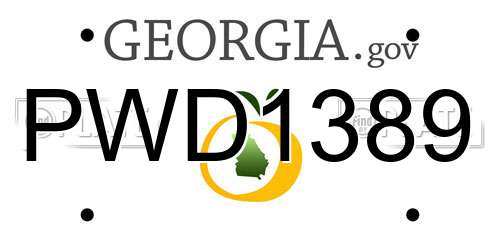 PWD1389 Georgia License Plate