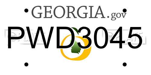 PWD3045 Georgia License Plate