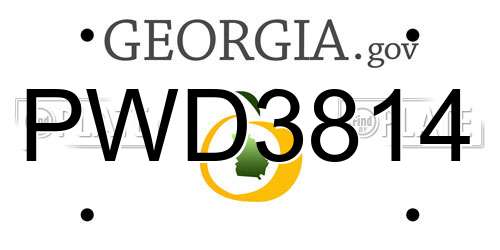 PWD3814 Georgia License Plate