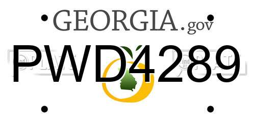 PWD4289 Georgia License Plate