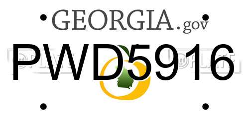 PWD5916 Georgia License Plate