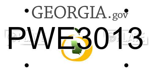 PWE3013 Georgia License Plate
