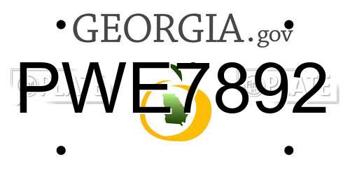 PWE7892 Georgia License Plate