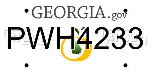 PWH4233 Georgia License Plate