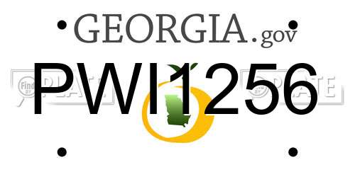 PWI1256 Georgia License Plate