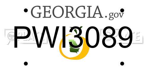 PWI3089 Georgia License Plate