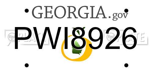 PWI8926 Georgia License Plate