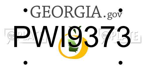 PWI9373 Georgia License Plate