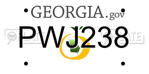 PWJ238 Georgia License Plate