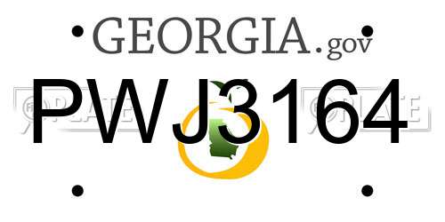 PWJ3164 Georgia License Plate