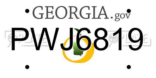 PWJ6819 Georgia License Plate