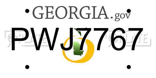 PWJ7767 Georgia License Plate