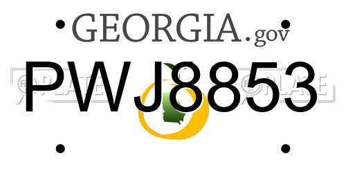 PWJ8853 Georgia License Plate