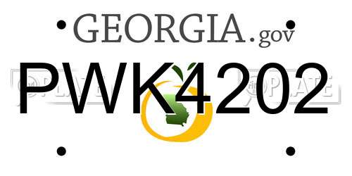 PWK4202 Georgia License Plate