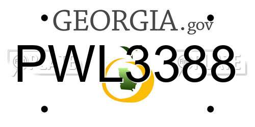 PWL3388 Georgia License Plate