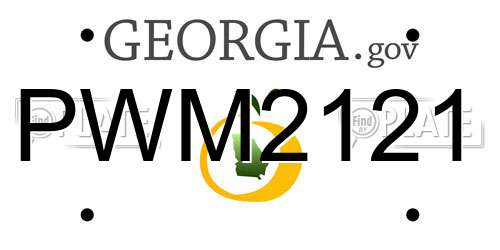 PWM2121 Georgia License Plate