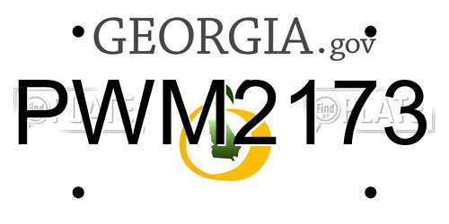 PWM2173 Georgia License Plate