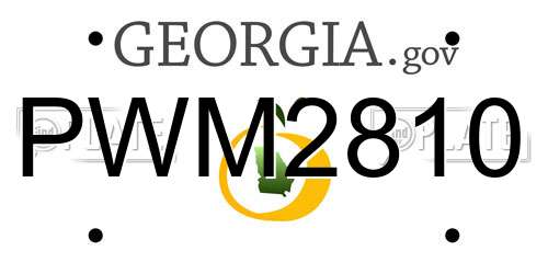 PWM2810 Georgia License Plate