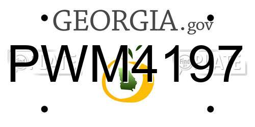 PWM4197 Georgia License Plate