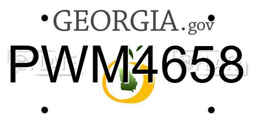 PWM4658 Georgia License Plate