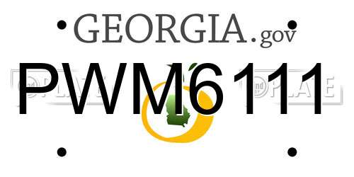 PWM6111 Georgia License Plate