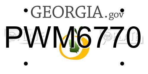 PWM6770 Georgia License Plate
