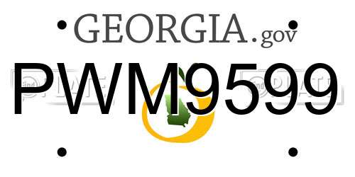 PWM9599 Georgia License Plate