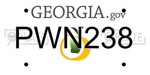 PWN238 Georgia License Plate