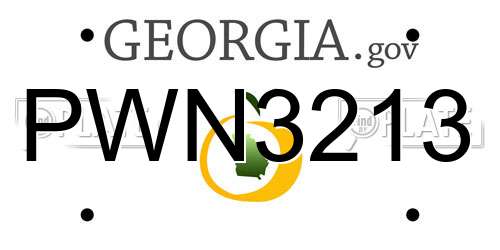 PWN3213 Georgia License Plate