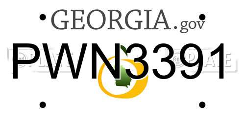 PWN3391 Georgia License Plate