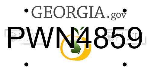 PWN4859 Georgia License Plate
