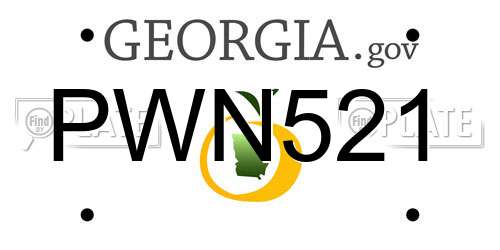 PWN521 Georgia License Plate
