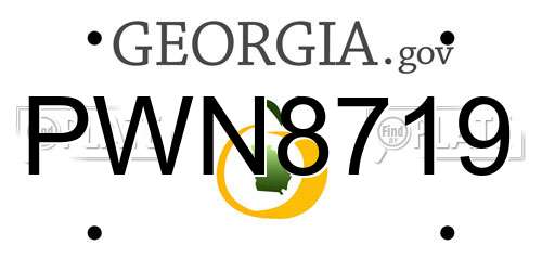 PWN8719 Georgia License Plate